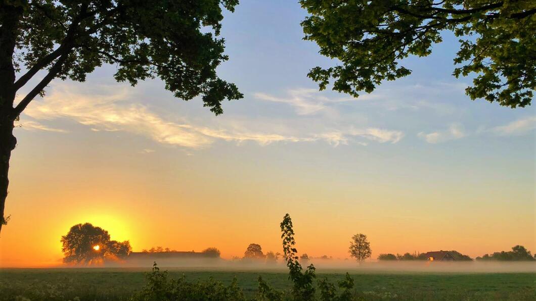 Houten Oost krommerijnlandschap