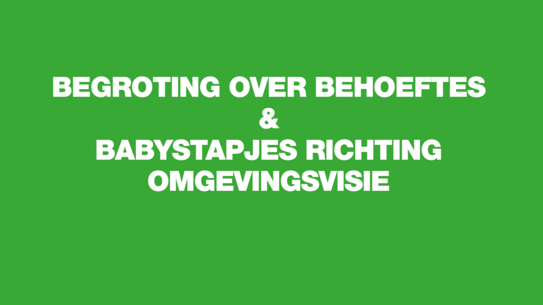 titel begroting over behoeftes en babystapjes richting omgevingsvisie