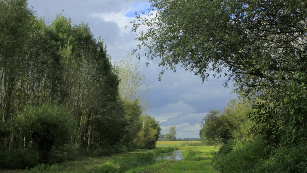 Eiland van Schalkwijk nabij Tull en 't Waal