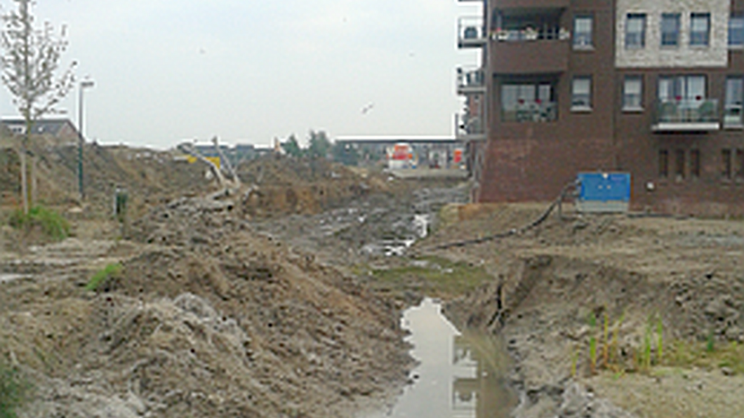 Dode vissen in Houten-Castellum Castellumdodevissen.png